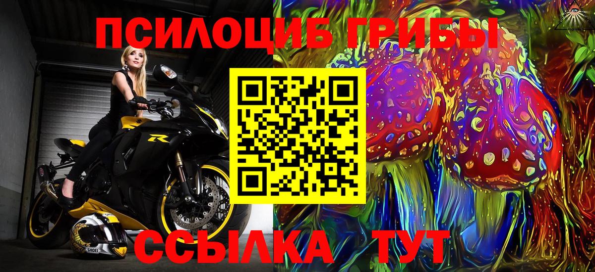 Псилоцибиновые грибы MAGIC MUSHROOMS Родники